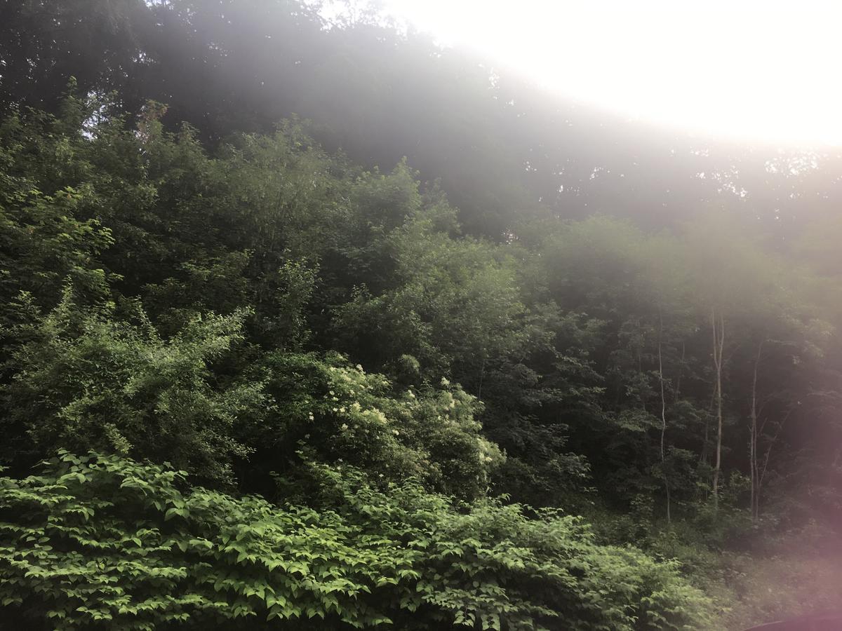 Asia Wok Gasthof Ybbs an der Donau Kültér fotó